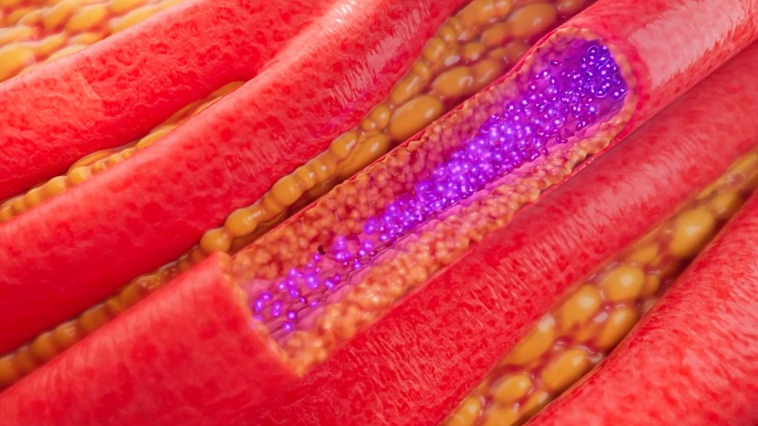 Screenshot 2026-01-31 193619