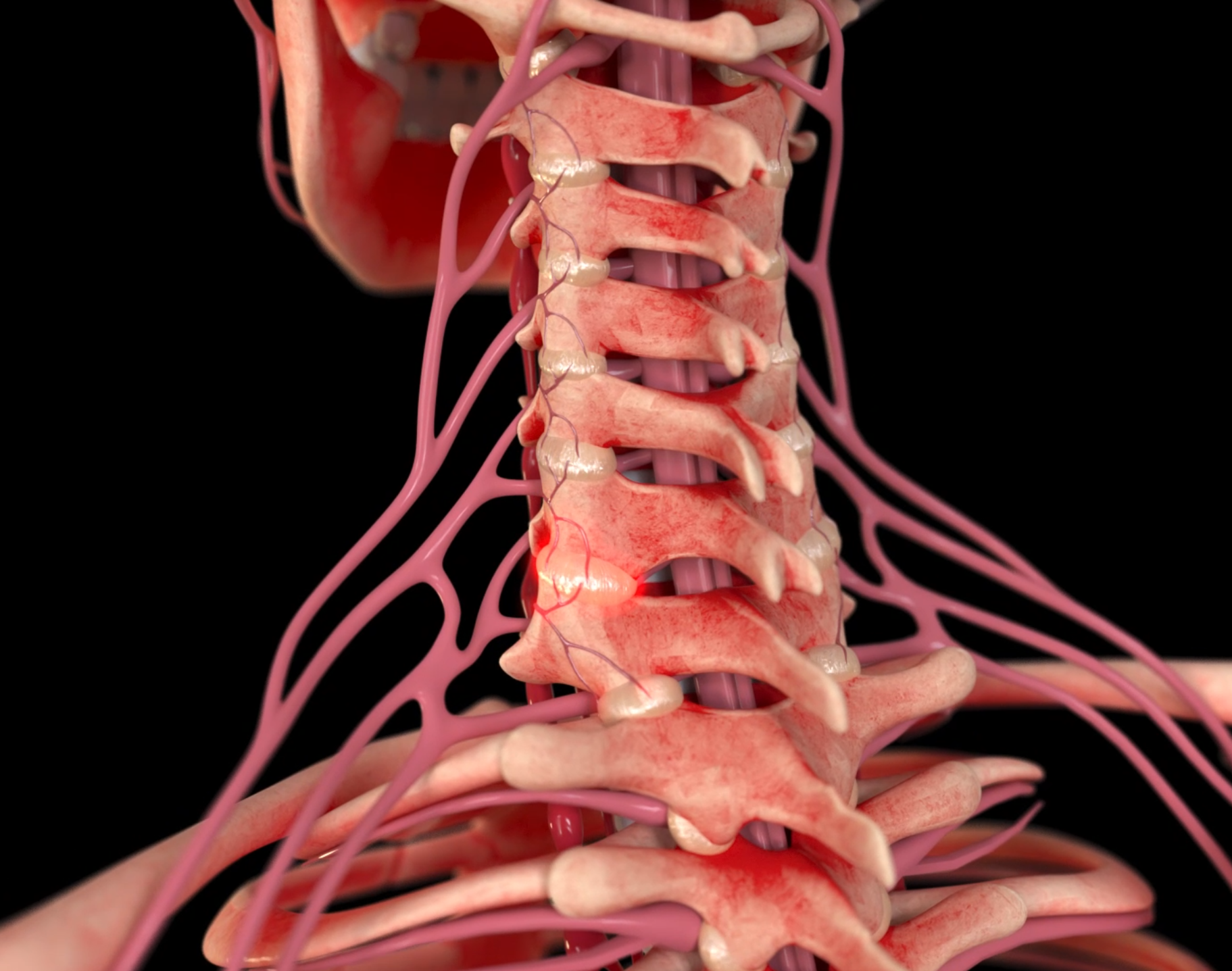 Screenshot 2026-02-02 170332